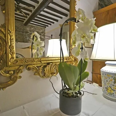 Rugapiana 63 Lejlighed